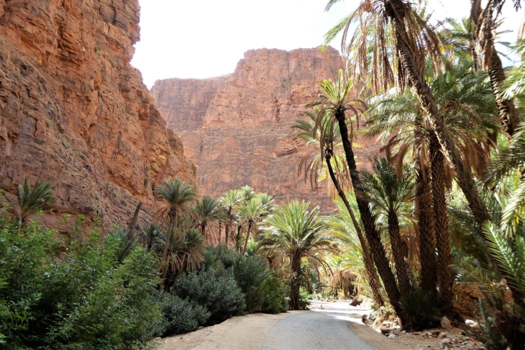 The path descends to the shady road and the splendour of Ait Mansour - not far from where a welcome rest awaits in the nearby Auberge.