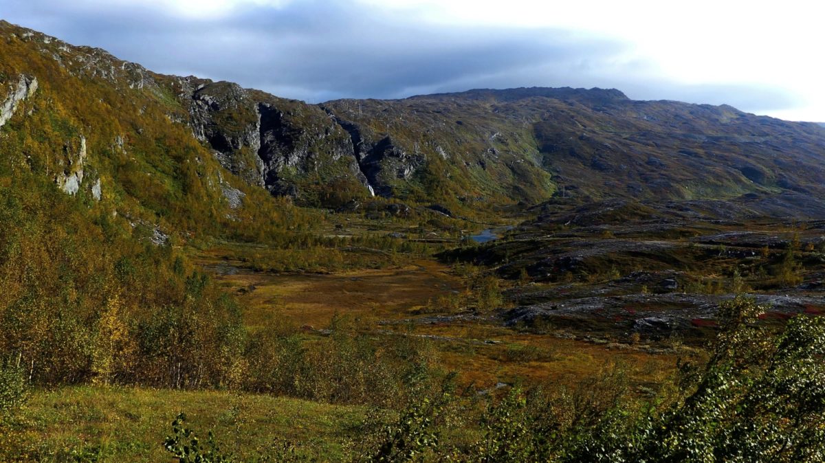 6 Beginning of the forest, near Guvtjàvrre