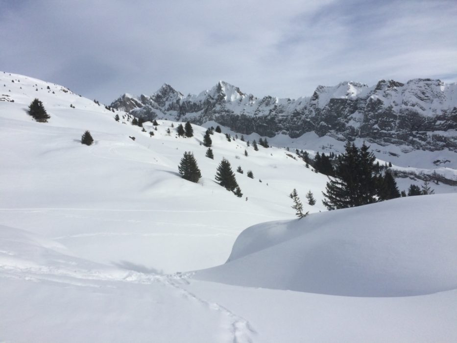 In search for ‘islands of safety’ below the summit of Pointe de la Golèse (1836m)