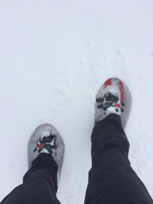 Snowshoes are designed to create a large surface area in which to distribute the weight of the walker, creating a flotation surface