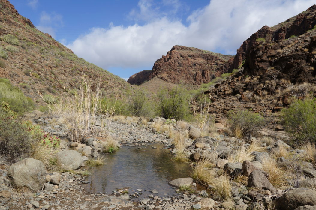 The rugged Barranco de los Vicentes gives access to the mountains