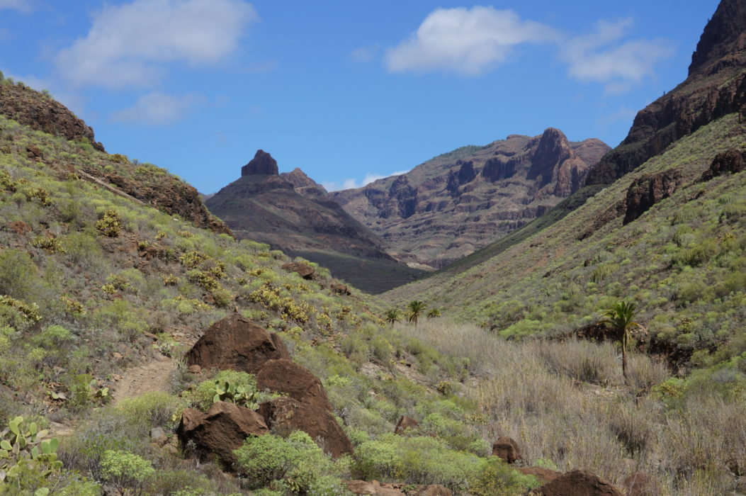 The view before climbing out of the Barranco de los Vicentes