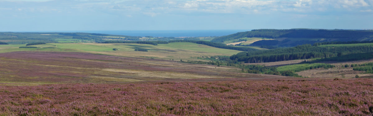 Purple heather moorlands give way to green fields and the coast