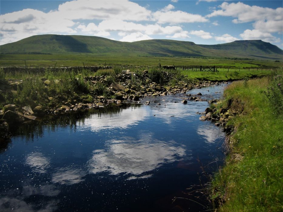 Ingleborough From Ivescar To The North