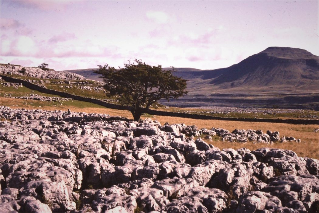 Ingleborough And The Limestone Pavement From The Sw