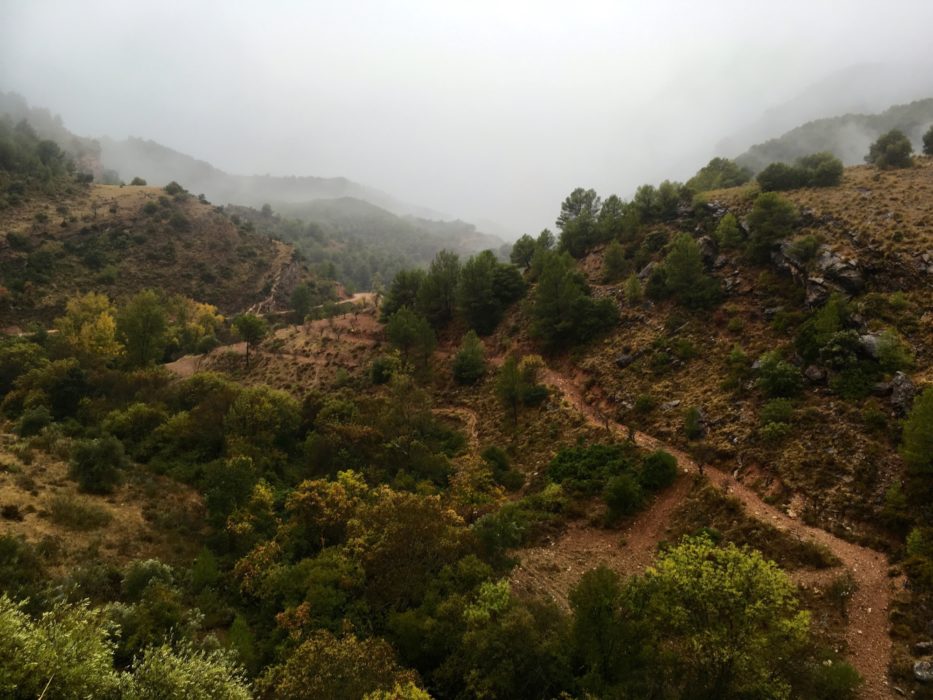 One of the very few wet days in the sierras
