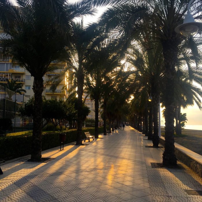 Palm lined promenade east of Malaga