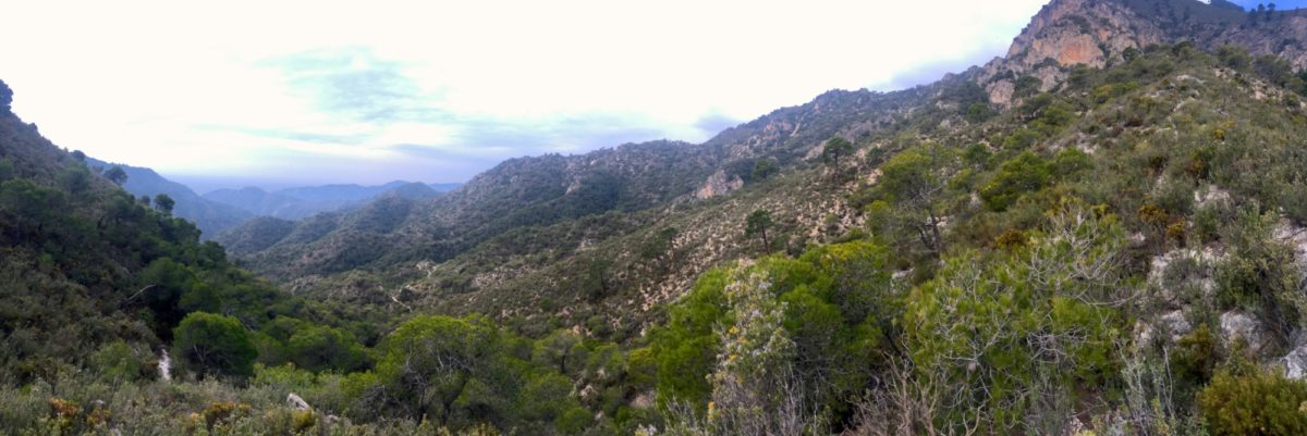 Parque Natural Sierras de Tejeda, Almijara y Alhama