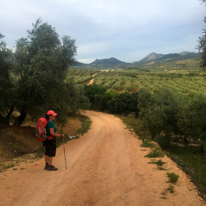 Starting into olive country south of Archidona