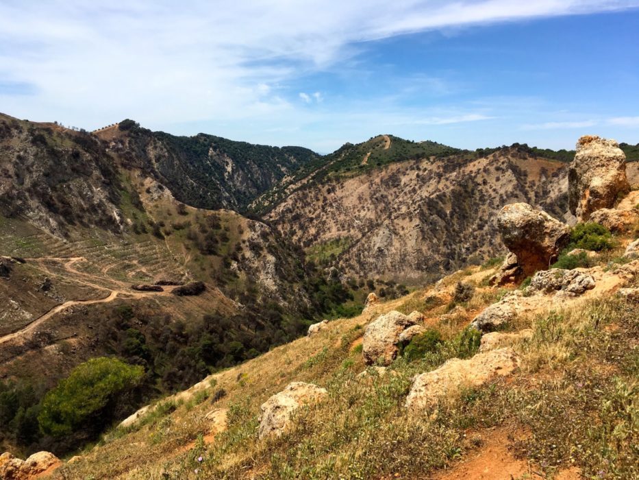 The deep gorges of the Arroyo Marin outside Archidona