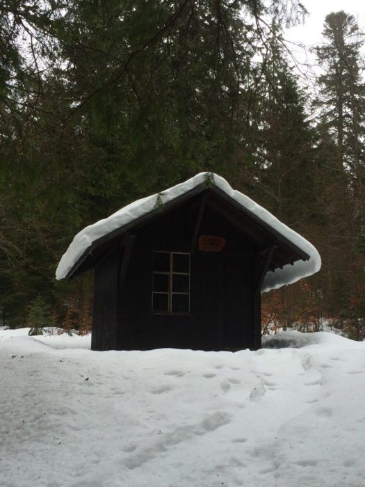 001 A typical hut, of which many are scattered throughout the maze of the Grand Risoux forest, a perfect hiding place for an escapee