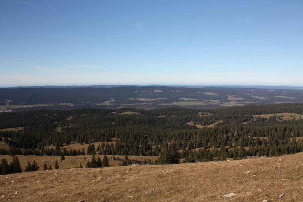 004 Looking north from the Jura Crest Trail, over the Grand Risoux forest, a WWII escape route into Switzerland