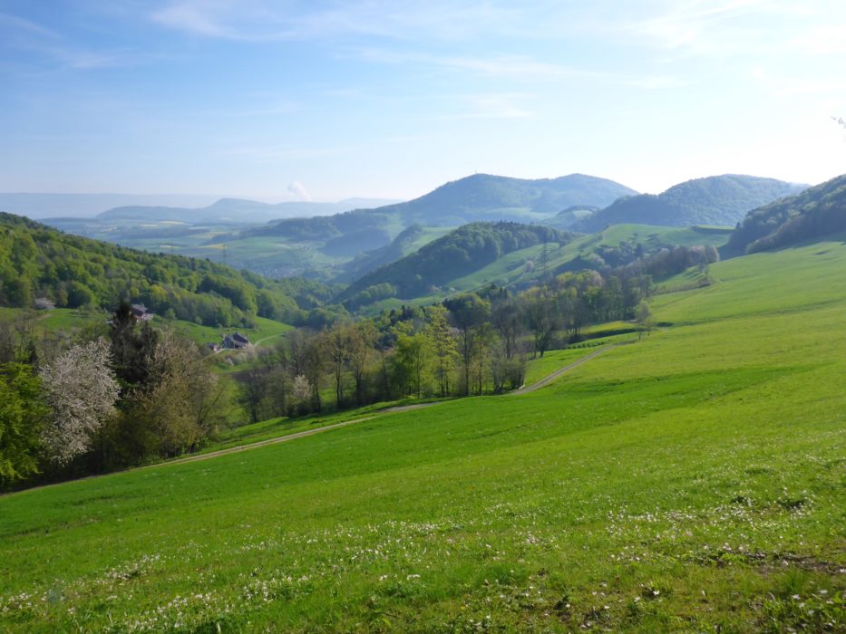 005 Looking west towards Hauenstein