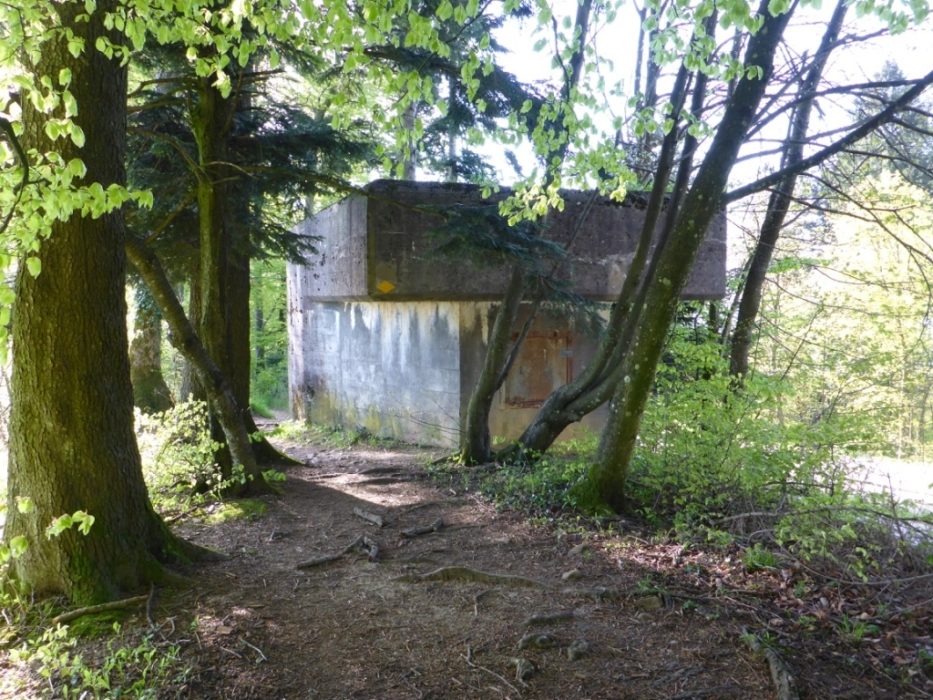 011 Remnants of Switzerland's military past; a WWII bunker near the Salhohe Pass