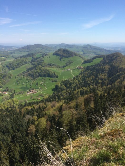 019 View from the summit of the Belchenflue looking east towards Dielsdorf