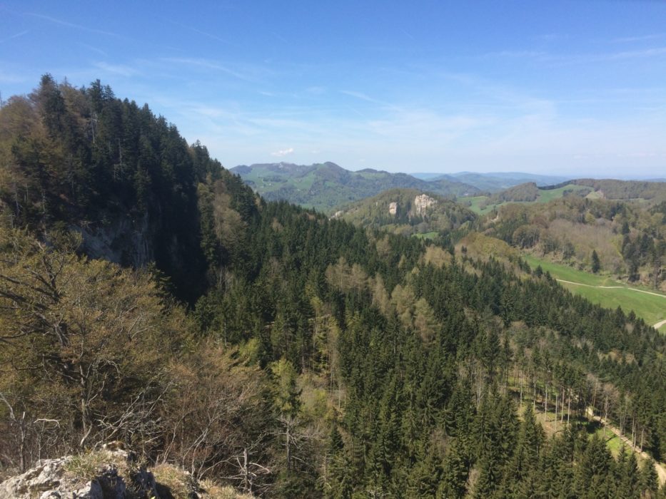 020 View from the summit of the Belchenflue, looking north-west, over the tank grubens
