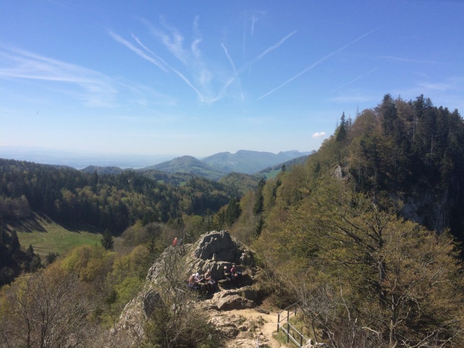 021 View from the summit of the Belchenflue