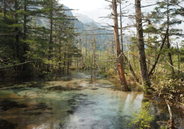 J7 Pristine wetlands around Kamikōchi
