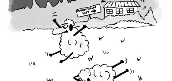 Snorers Dont You Just Love Them