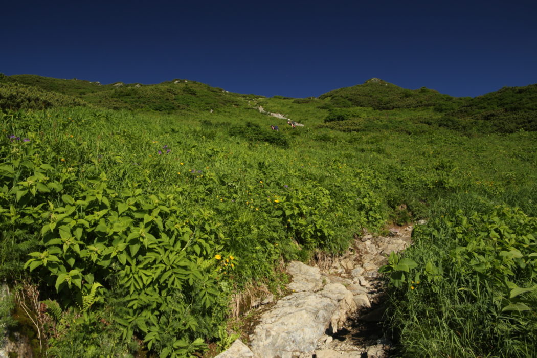 Kitadake7 A rocky track lined with wildflowers leads to the summit ridge