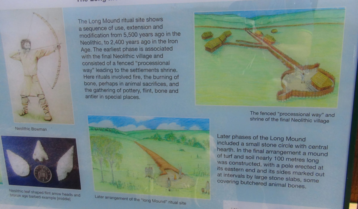 Crickley Hill information board 4