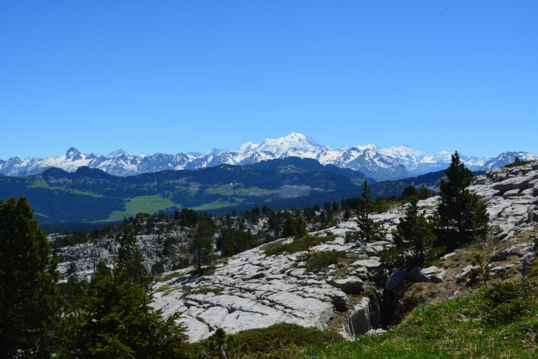 Mont Blanc rising above the limestone plateau on Le Parmelan