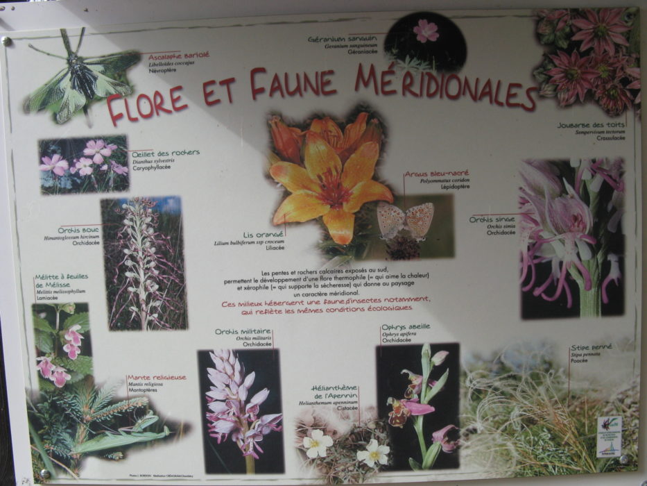 Information board ‘Flore et Faune Méridionales’