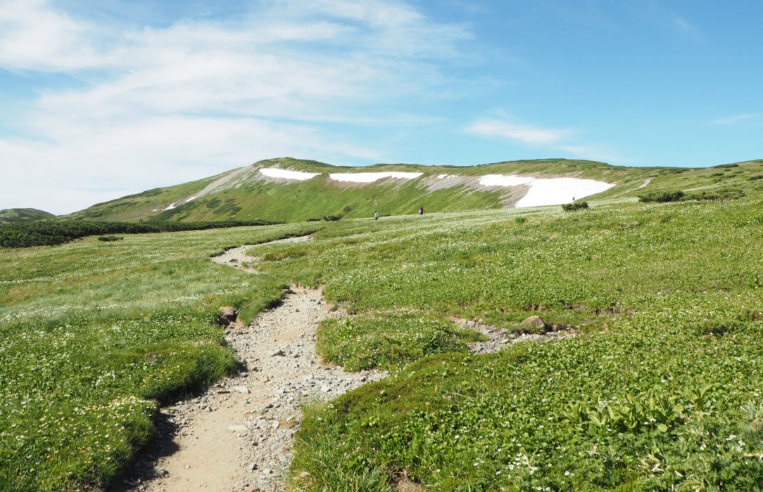 Flatlands