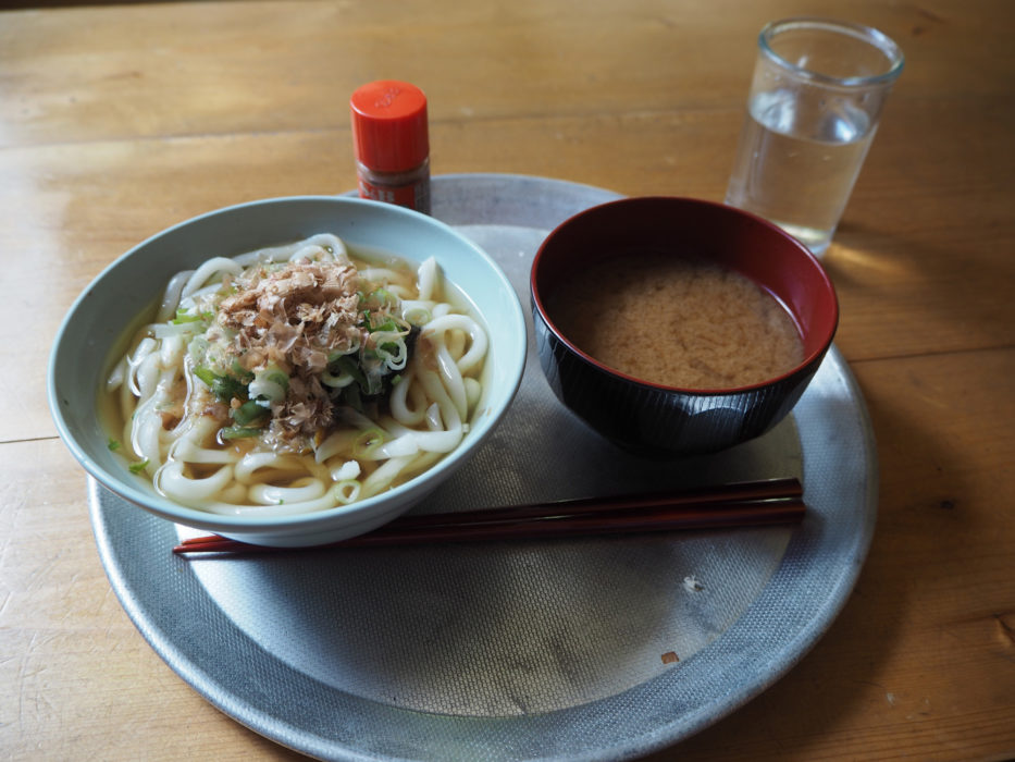 Udon noodles