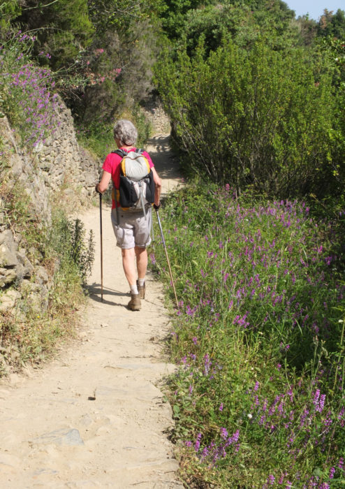22 Trekking Poles Are Always Handy