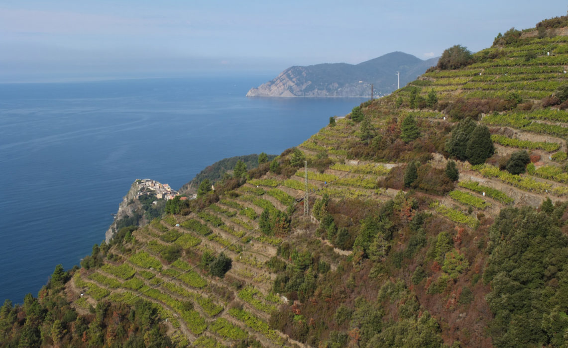 3 Remarkable Manmade Terracing