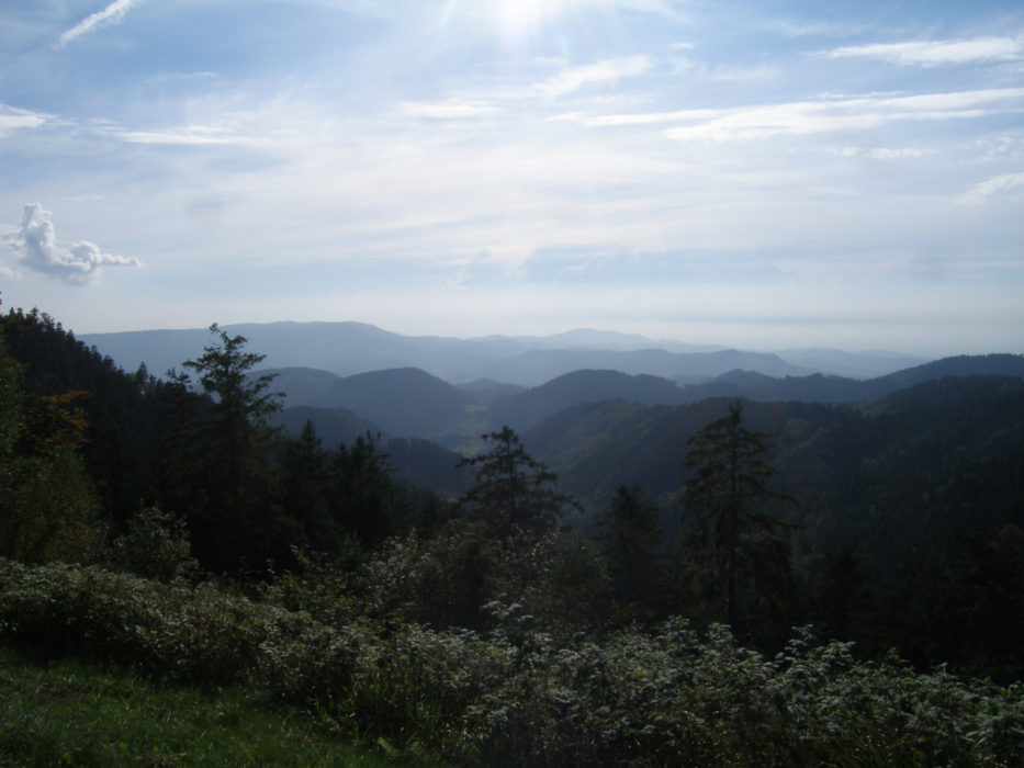002 The northern Black Forest is densely covered in forest, almost as far as the eye can see