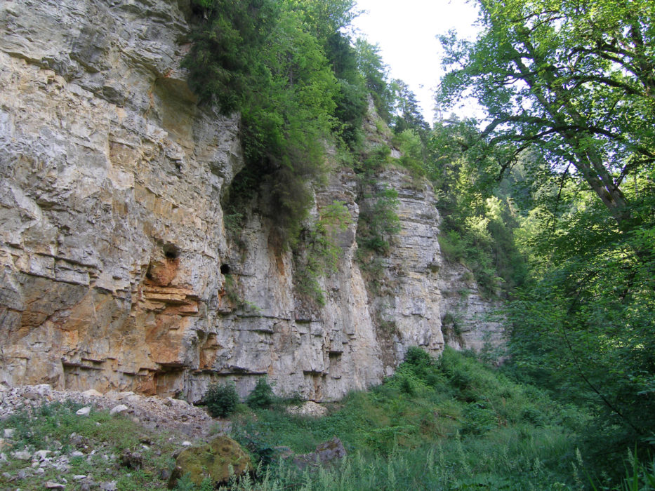 021 Wutachschlucht is the largest gorge in the southern Black Forest and in fact in Germany