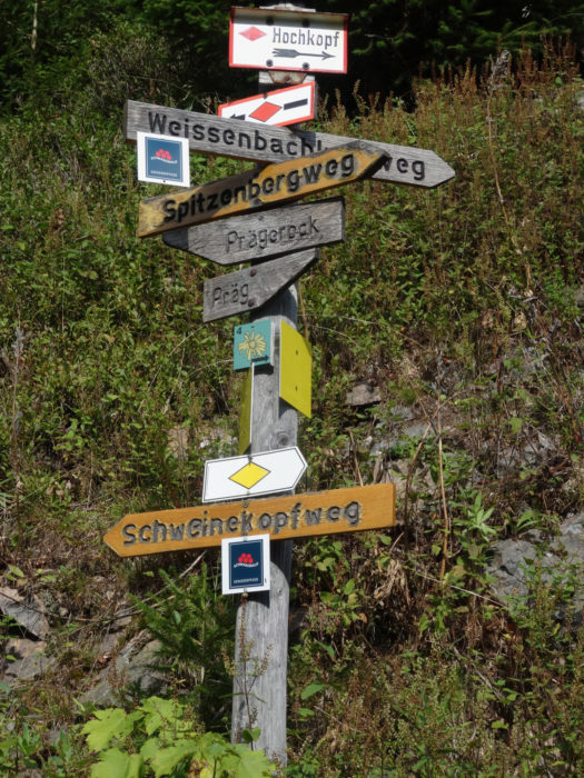 009 The Black Forest is criss-crossed by a trail network of about 24.000 marked and maintained path. This is an old signpost. Modern ones with more information on them have taken over.