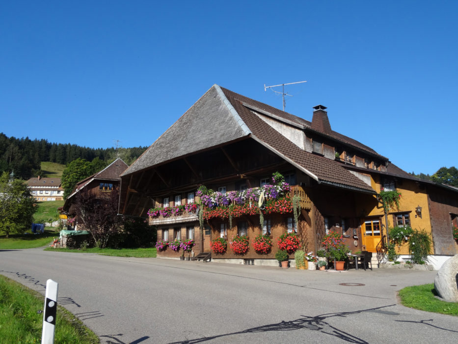 020 Typically farmhouses are always dressed up and overflowing in glorious flower displays