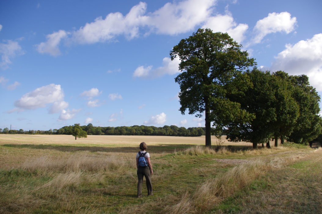 Approaching the village of Toot Hill, on the way to Ongar
