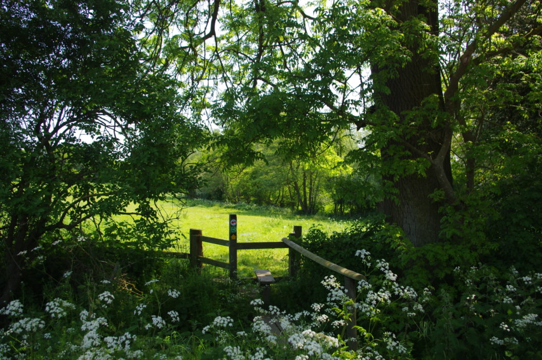 Meadows by the River Ter