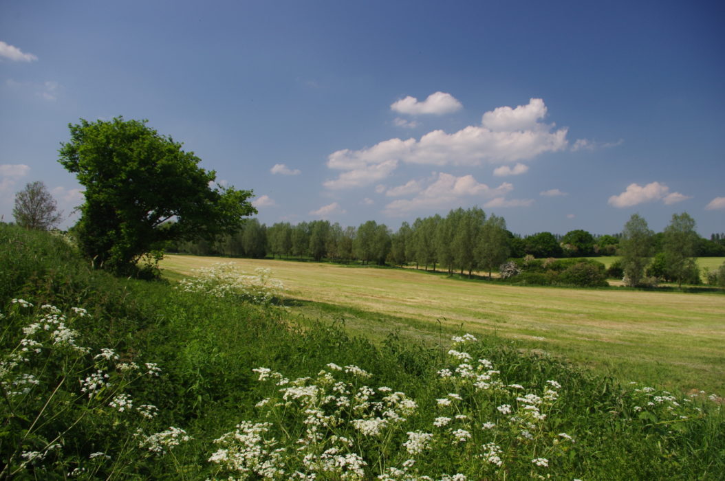 Approaching the River Brain near White Notley