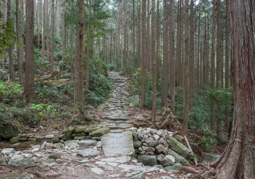 Ishitatami flagstone path