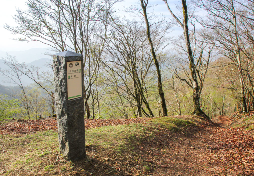 Stone and wooden waymarks