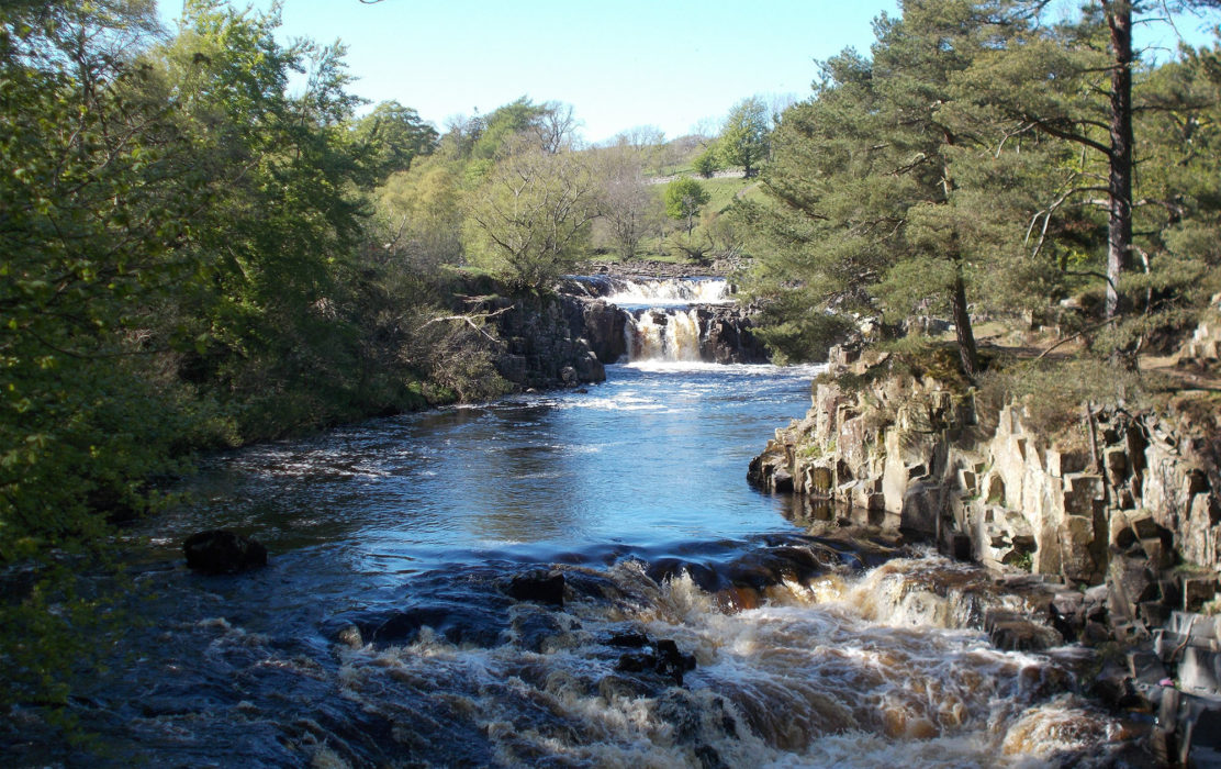 Low Force