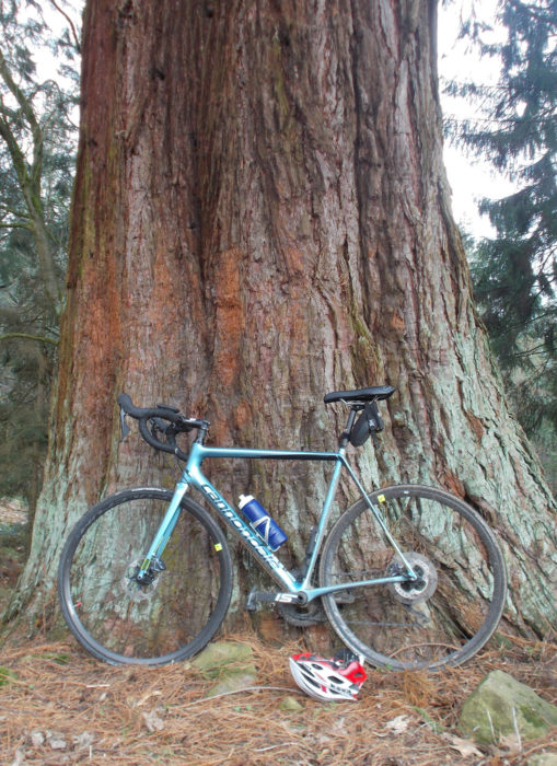 Disc equipped bike