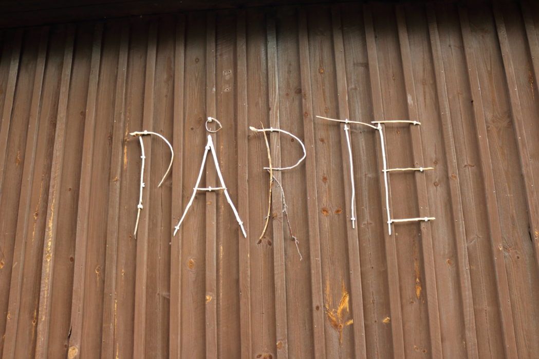 Pårte