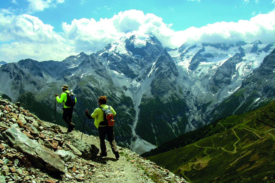 View Of The Ortler From Above The Stelvio Pass