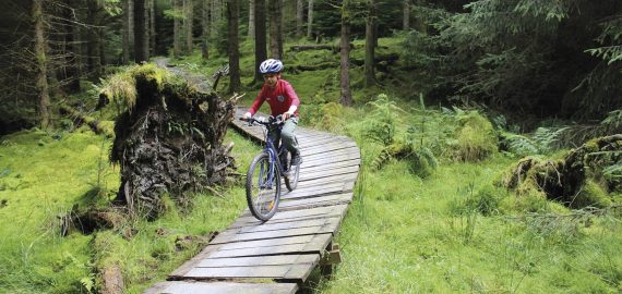 Lake District cycling with kids
