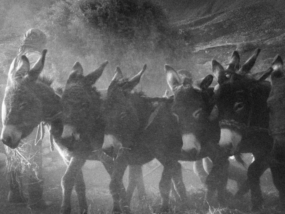 Harvest time in September is a great time to visit the Wakhan