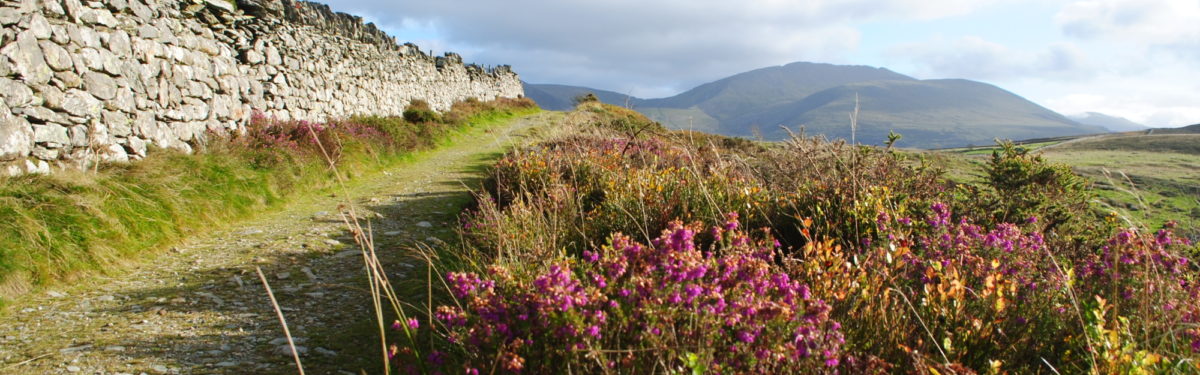 Walk In The Valleys To Get To Know Snowdonia Cicerone Press - 