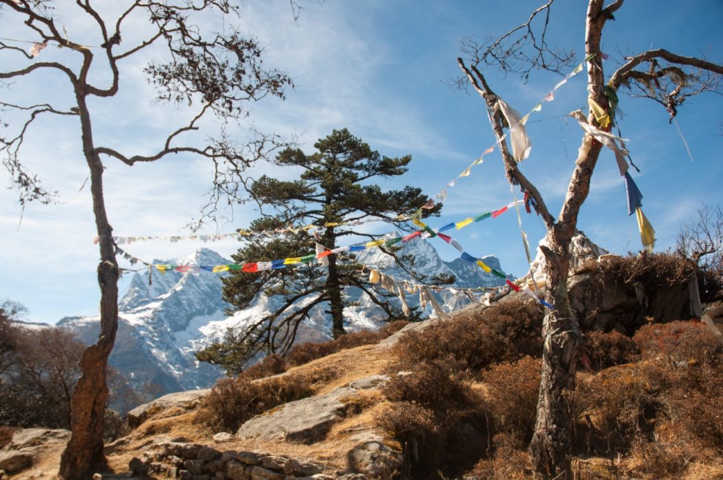 Acclimatisation