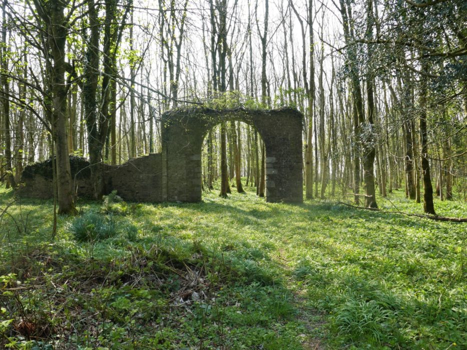 Woodland walk