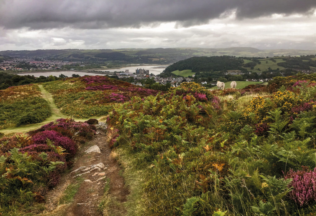 Conwy from Conwy Mountain
